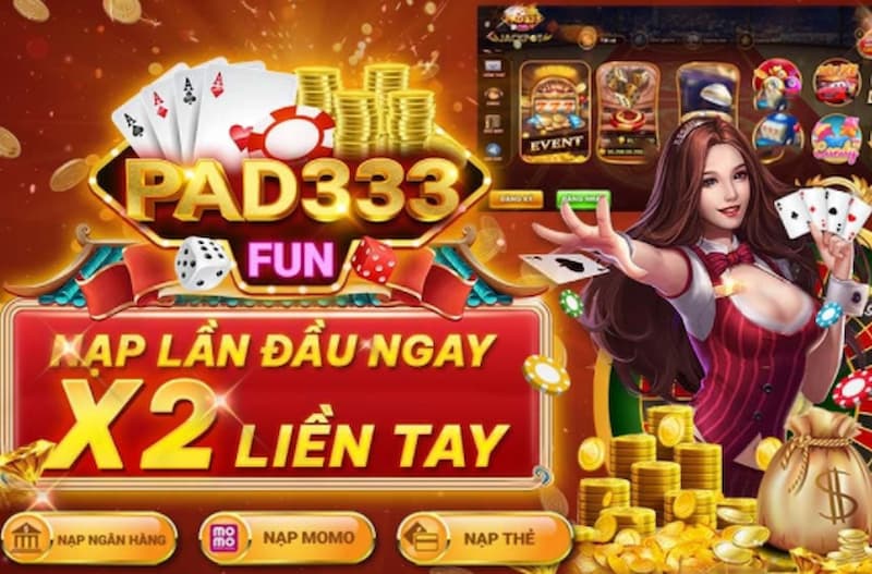 Cổng game pad333
