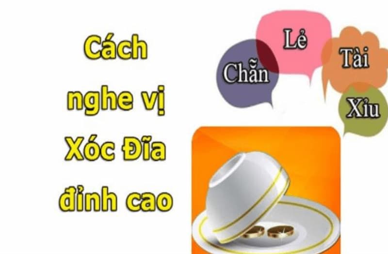 cách nghe vị Xóc đĩa cách nghe vị Xóc đĩa