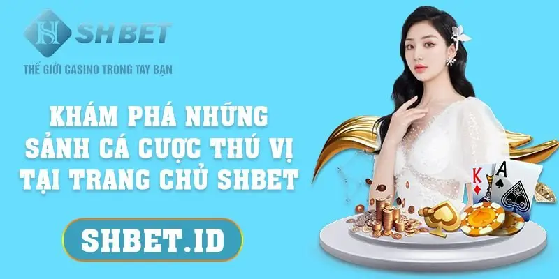 Hệ sinh thái giải trí đa dạng và chất lượng tại Shbet80