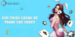 Giới Thiệu SHBET80 | Cam Kết Về Một Trải Nghiệm Cá Cược Toàn Vẹn