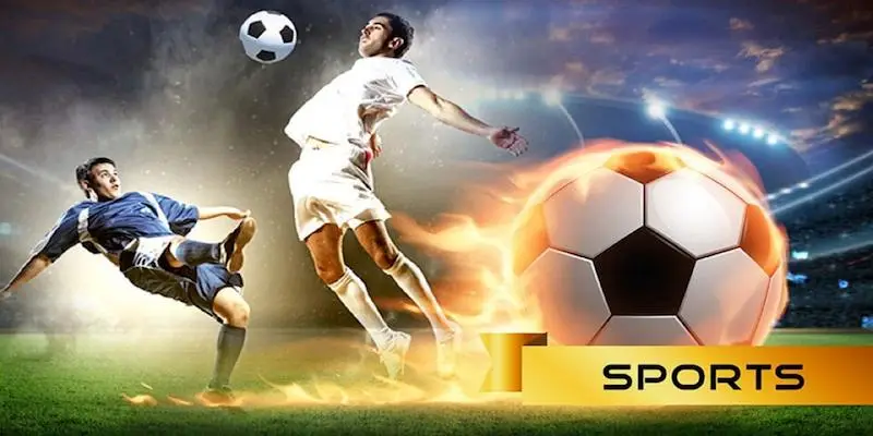 Khám phá thế giới esports – sân chơi của thế hệ tương lai
