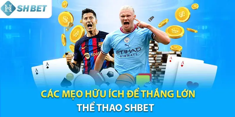 Bí quyết cá cược đỉnh cao từ giới chuyên gia